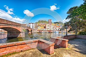Astonishing cityscape of Bosa town with Ponte Vecchio bridge across the Temo river