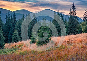 Astonishing morning scene of Carpathian mountains with Hoverla peak on background