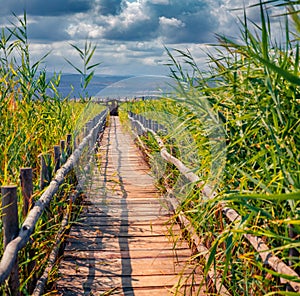 Astonishing morning view of Riserva Naturale Statale Lago di Lesina photo