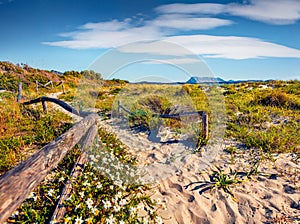 Astonishing spring view La Cinta beach with Tavolara island on background.