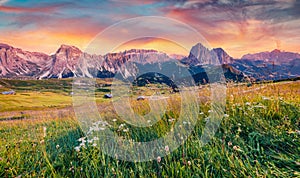 Astonishing summer view of Sassolungo Langkofel and Sella group, National Park Dolomites,