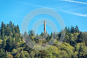 Astoria Column and Forest