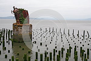 Astoria Steel Monster photo