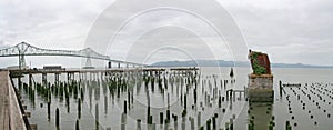 Astoria Steel Monster with Megler Bridge photo