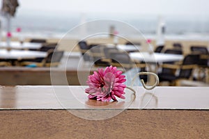 Astra table cafe beach sea flowers vase pink red white purple chairs sand sun light romantic