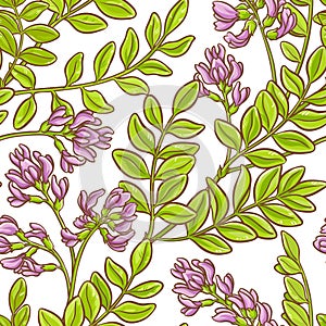 Astragalus vector pattern