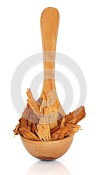 Astragalus Root