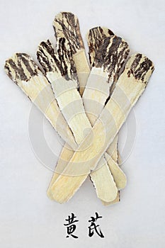 Astragalus Root Chinese Herbal Plant Medicine