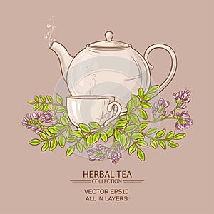 Astragalus tea illustration