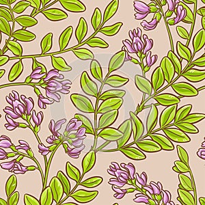 Astragalus vector pattern