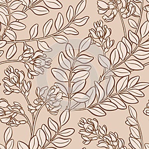 Astragalus vector pattern