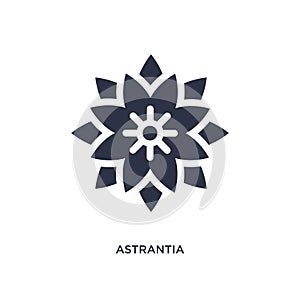 astrantia icon on white background. Simple element illustration from nature concept