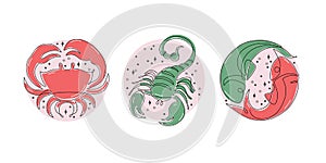 Astrological zodiac signs vector illustration. Horoscope symbols, icons set