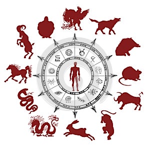 Astrology chart with silhouettes of chinese zodiac animals and mystic symbols