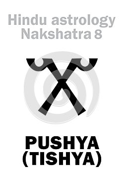 Astrology: Lunar station PUSHYA / TISHYA (nakshatra)