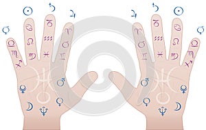 Astrology Palmistry Sections Hands