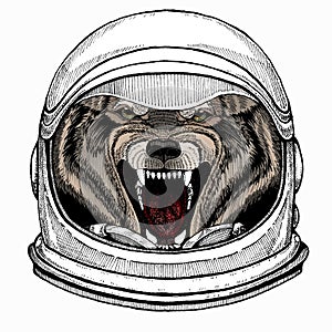Vector portrait of wolf. Cool wild wolf. Animal head. Astronaut animal. Vector portrait. Cosmos and Spaceman. Space
