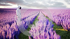 Astronaut with butterflies in lavender field. concept of future. broadcast. 3d rendering.