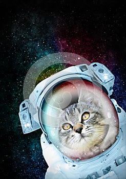 Cosmonauta gatto per la conoscenza spazio 