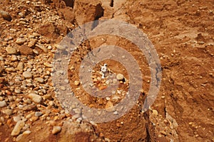 Astronaut exploring mars, concept