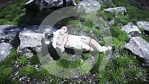 Astronaut idle on the moon oasis. 3d rendering.