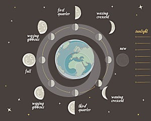 Astronomy lesson: Moon phases vector