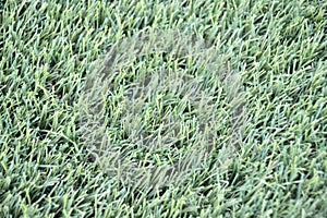 AstroTurf Artificial Grass photo