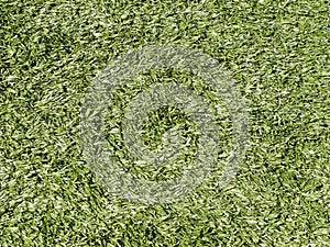 Astroturf Background photo