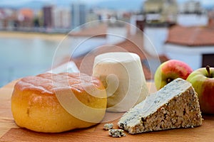 Asturian cheeses, hard smoked cow cheese from Pria, blue cheese cabralis from Arenas and white rebollin from Pitu, Asturias, photo