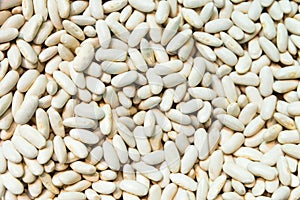 Asturianas White Beans photo