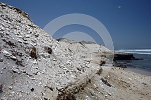 Asuncion bay photo