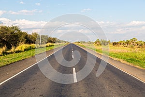 Ruta Transchaco. National Route 9 highway runs through a palm forest and grasses of Paraguayan Gran Chaco savannah, Paraguay. photo