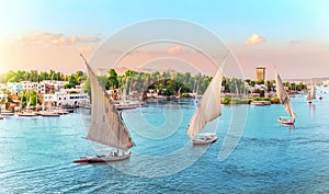 Aswan, Nile River scenery with famous sailboats, Egypta