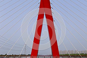 Asymmetric cable-stayed bridge, unique