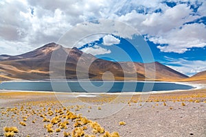 Atacama Altiplana desert, Laguna Miscanti salt lake and mountains landscape, Miniques in Chile, South America