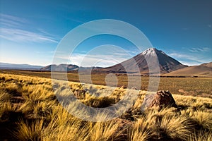 Atacama desert photo