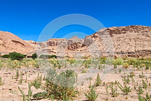 Atacama desert arid flat land an mountains