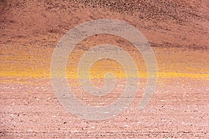 Atacama Desert