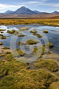 Atacama Desert - Chile