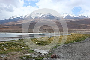 Atacama Desert Laguna Capina