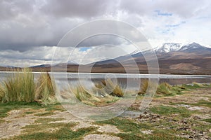 Atacama Desert Laguna Capina