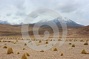 Atacama Desert photo