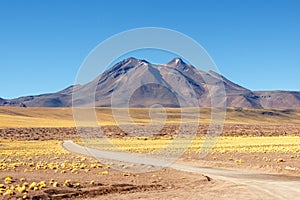 Atacama desert photo