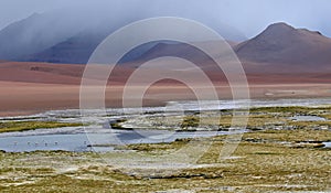 Atacama Desert with reddish rocks and Chilean Flamingos in the background