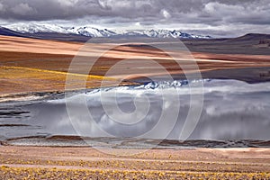 Atacama desert savanna, mountains and volcano landscape, Chile, South America