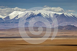 Atacama desert, volcanic arid landscape in Northern Chile, South America