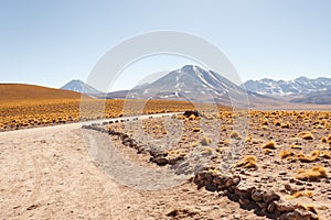 Atacama desert photo