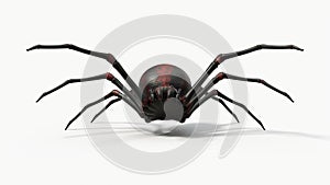 Atacking black spider. suitable for horror, halloween, arachnid and insect themes.