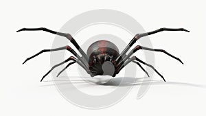 Atacking black spider. suitable for horror, halloween, arachnid and insect themes. photo