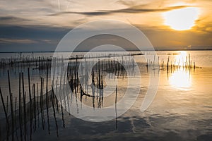 Atardecer Albufera.